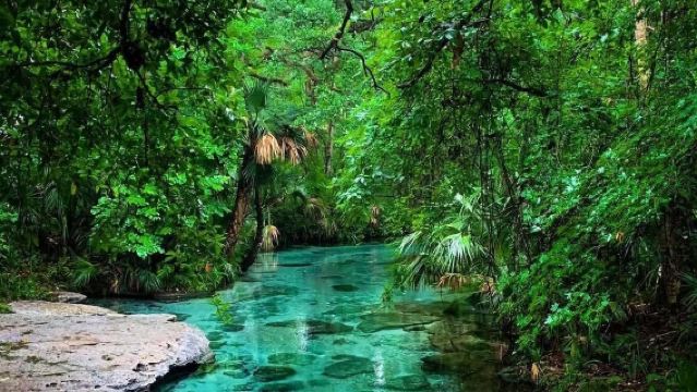 美國奧蘭多【肯尼迪航天中心+摩天輪】中文司機+接駁】