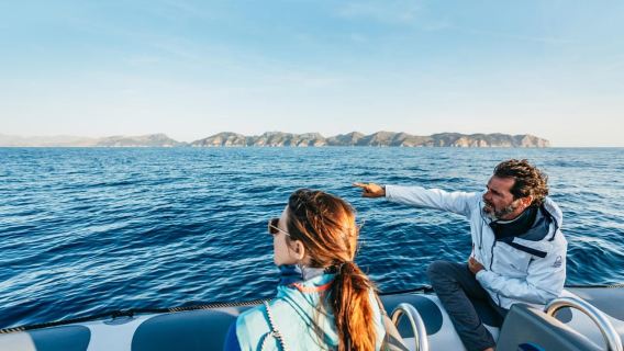 Alcudia or Can Picafort: Dolphin-Watching Cruise