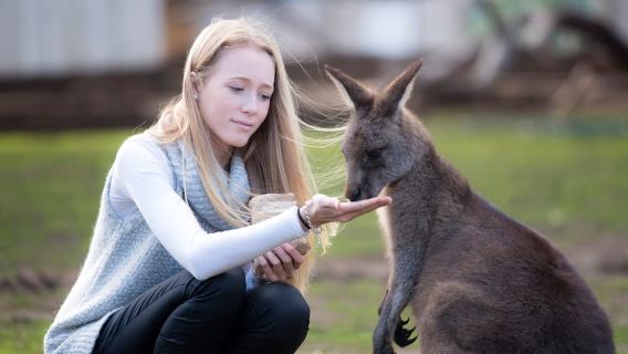Hobart: Entrada al Santuario de Vida Silvestre Bonorong