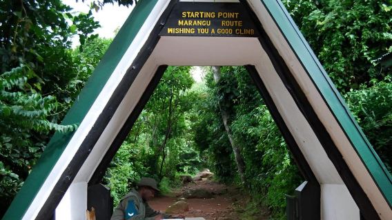 One Day Kilimanjaro Trek: Gateway to Africa's Tallest Peak
