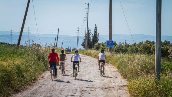 Umm Qais : visite guidée à vélo léger avec équipement