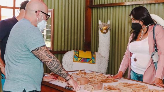 Arequipa: Panorama-Bustour durch Stadt und Land