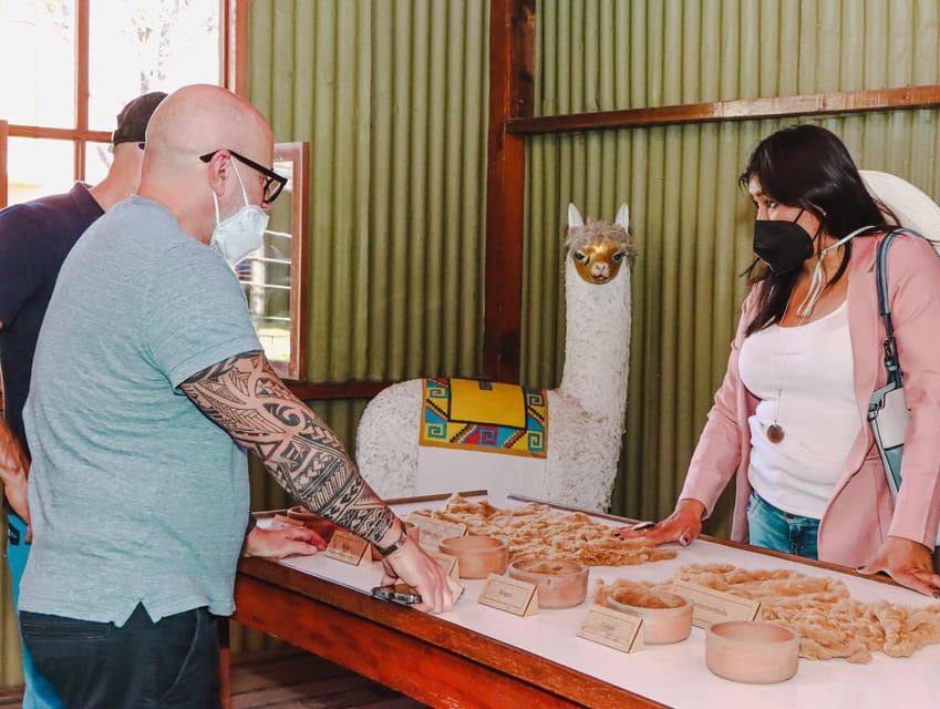 Arequipa: City and Countryside Panoramic Bus Tour