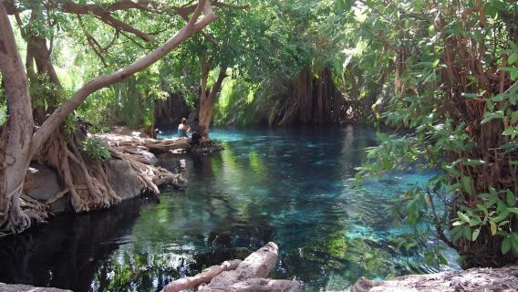 Materuni: escursione di un giorno per fare il caffè e raggiungere la cascata