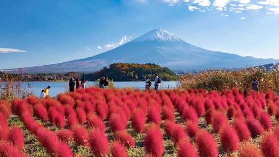 Excursión clásica de un día al Monte Fuji: Lago Kawaguchi (con experiencia de té matcha incluida) + Oshino Hakkai + lugares populares para fotos