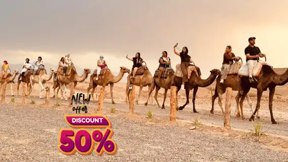 Marrakesh: Agafay Desert Sunset, Camel Ride, and Dinner Show