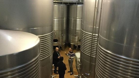 Bilbao: Txakoli e sapori locali nella biosfera di Urdaibai