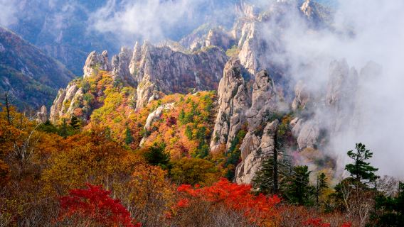 Mt. Seorak + Naksansa Temple One Day Tour (From Seoul Hongdae/Myeongdong/Dongdaemun)