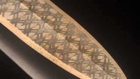 Escala de 5 horas en Wuhan | Tour de exploración del Museo de Hubei