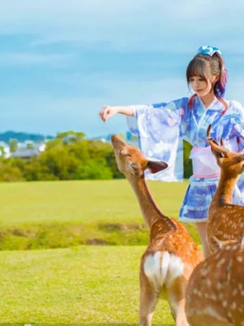 日本京都奈良/嵐山/伏見稻荷大社一日遊【中英日司導可選】