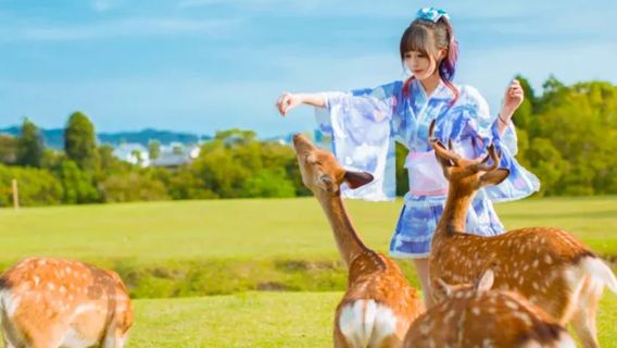 one-day tour of Kiyomizu Temple in Nara, Kyoto, Japan [9-person small group optional|Hotel pickup|Chinese and English driver guide