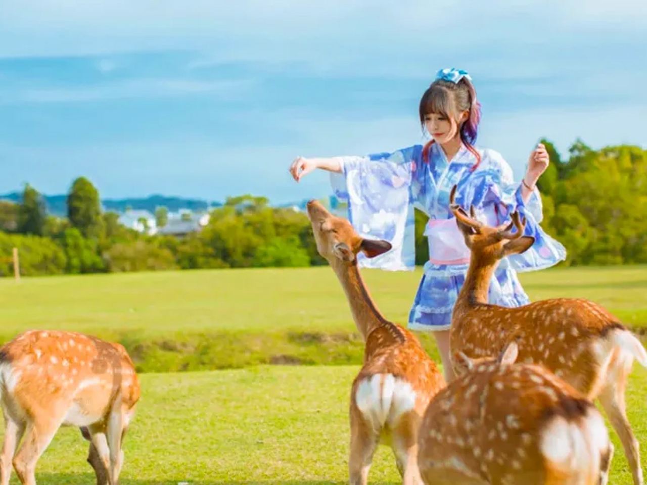 Excursión de un día a Kioto, Nara y el templo Kiyomizu-dera [opción de grupo pequeño de 9 personas|Traslado al hotel|Guía de habla china e inglesa