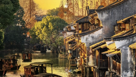 Tour 1 ngày cao cấp Thượng Hải Trung Quốc: Khám phá vẻ đẹp độc đáo của Ô Trấn (Wuzhen) | Có thể chọn hướng dẫn viên đa ngôn ngữ