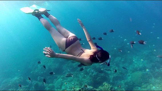 Immersioni a Phu Quoc con guida professionale tour giornaliero