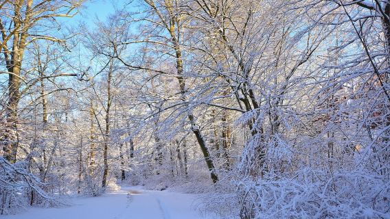挪威卑爾根+松恩峽灣+艾於蘭峽灣｜中文司導【多/日遊可定制】