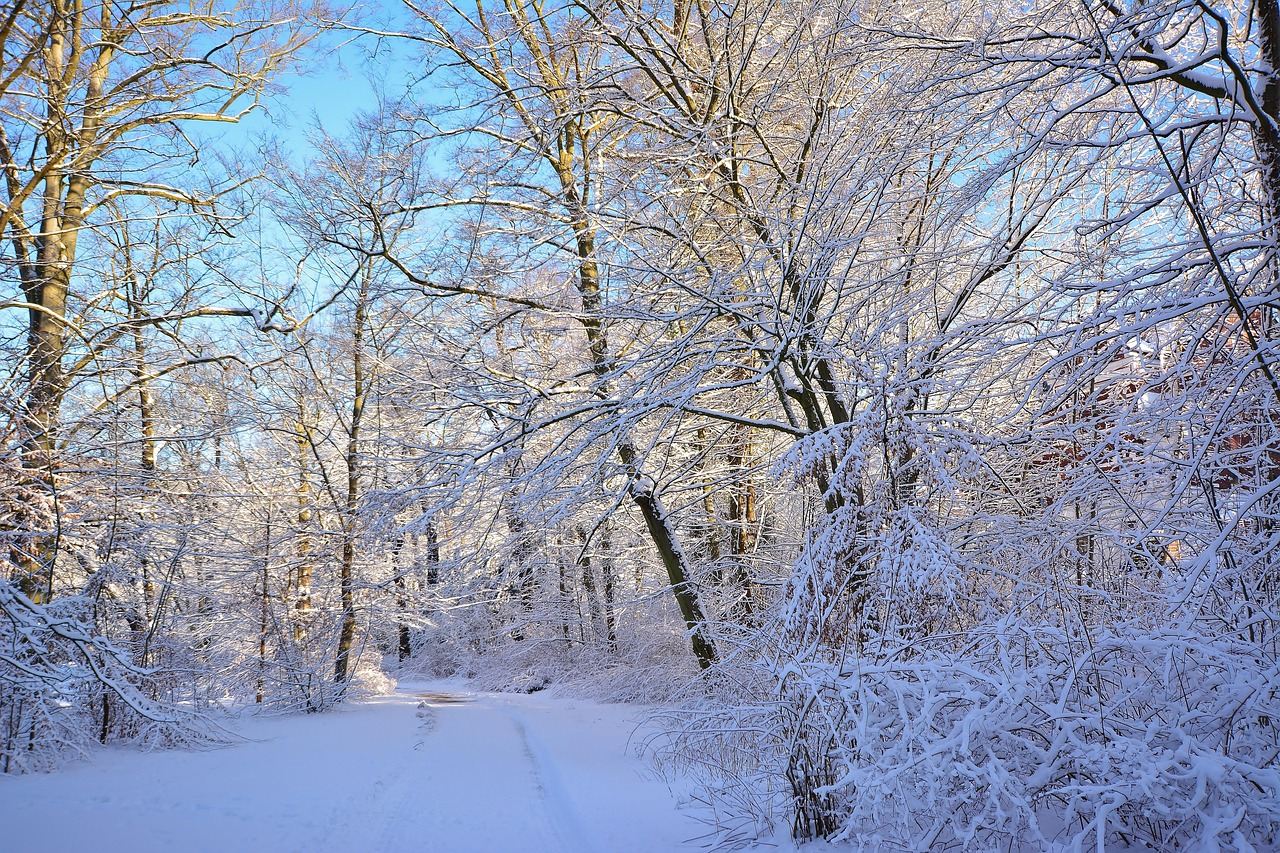 挪威卑爾根+松恩峽灣+艾於蘭峽灣｜中文司導【全境可定制】