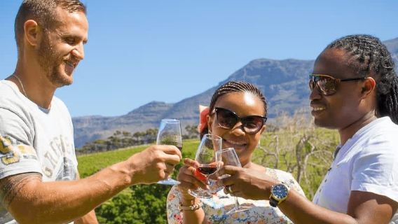 開普敦隨上隨下巴士通票 涵蓋4條旅遊路線 選擇3個景點入場