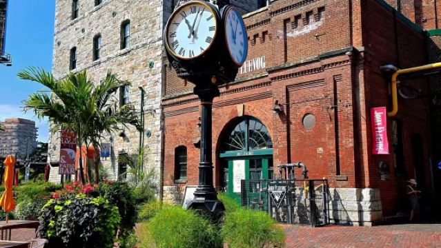 皇家安大略博物館+多倫多大學+卡薩羅馬城堡+古釀酒廠包車一日