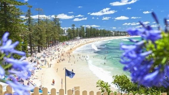 Australia lawatan sehari | Sydney Opera House + Taman Perlindungan Koala + Pantai Manly ※