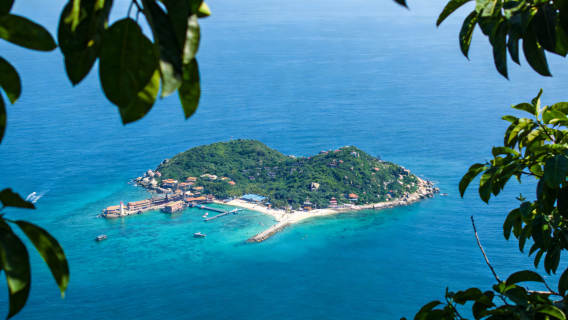 陵水分界洲島+南灣猴島生態旅一日遊【獨立包車+全程陪遊講解】