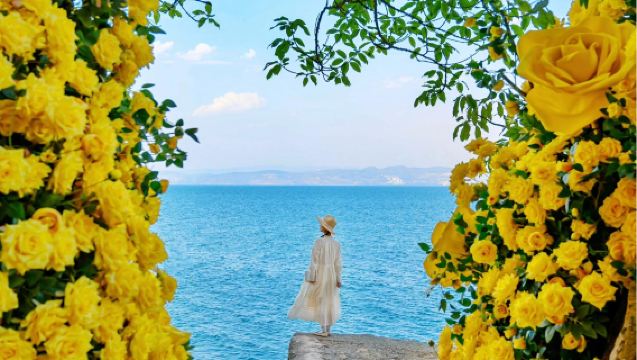 撫仙湖澄江廣龍撫海灣+紅沙灘+祿充風景區一日遊【品銅鍋魚】