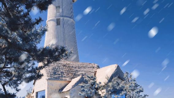 威海 ▎火炬八街+貓頭山+布魯維斯+榮成天鵝湖 【一日遊】