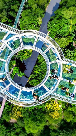 Hangzhou&Shanghai to OMG Park(Private Car ): Glass Platform, River Cruise & Carousel Lift