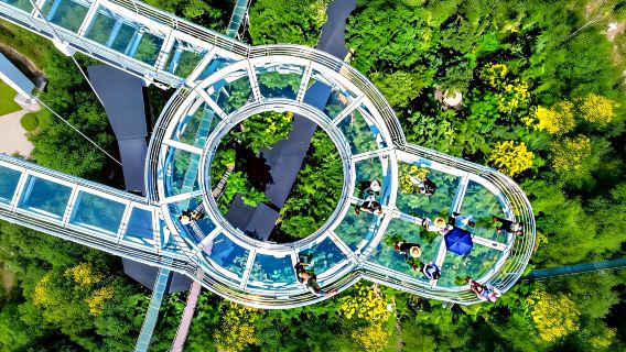 Hangzhou&Shanghai to OMG Park: Glass Platform, River Cruise & Carousel Lift