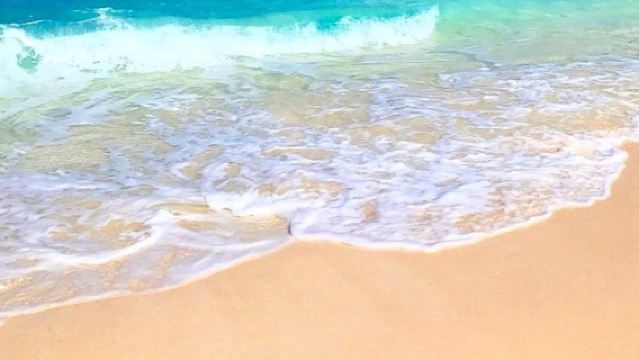 越南芽莊迷你島/泥漿浴漁村跳島一日遊/車接駁/含快艇門票午餐