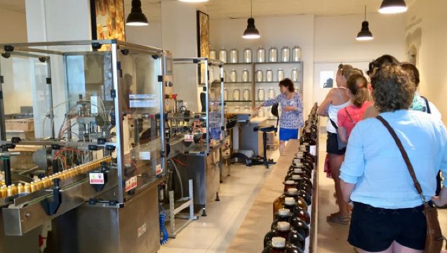 Nice: Vijf Zintuigen Reis met Èze en Wijnproeverij