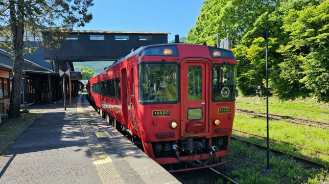 Beppu Sea Hell & Yufuin Forest Train Day Tour