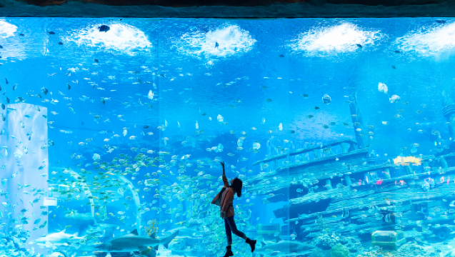 SEA LIFE Bangkok Ocean World with Madame Tussauds