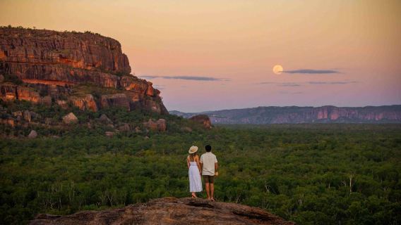 Dagsudflugt til Kakadu Nationalpark og Fogg Dam Wetlands fra Darwin, Australien [inklusive bytransport]