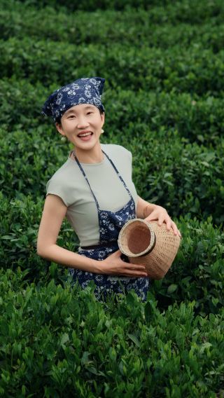 [A secluded tea life to escape the summer heat] Xixi rowing boat + Longjing tea picking Trip Moments + hidden West Lake 1-day tour