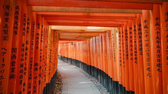 日本舞鶴、日光、金澤、埼玉、宇都宮＆商務翻譯-地陪-包車服務