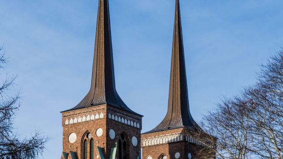 Copenhagen | Katedral Roskilde - Muzium Kapal Viking - Lawatan Sehari - Sewaan Peribadi | Tiket Tidak Termasuk