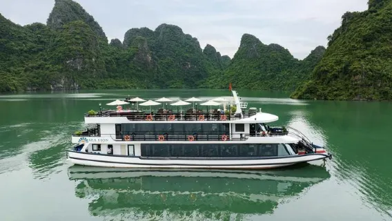 1 Day Trip: Sea Lion Luxury 5-Star Halong Day Cruise,Buffet Lunch,Shuttle Bus