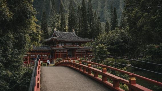 美國夏威夷歐胡島迎風海岸·自然與小鎮風情-包車-精品臻選