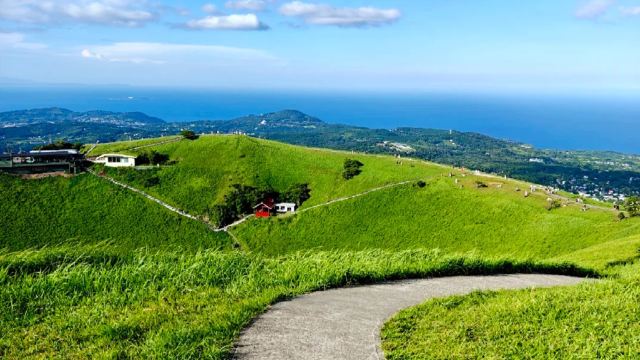 Japan Izu Jogasaki Coast + Matcha Pudding Mountain + Seaside Train