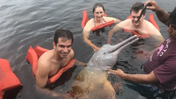 Brazil Manaus Amazon jungle + trekking 1-day tour pink river dolphin/piranha fishing