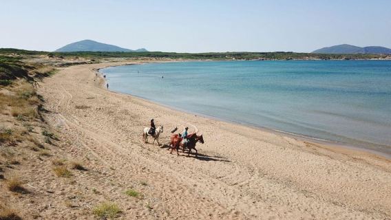 Alghero: guided horse ride at Lake Baratz and Porto Ferro
