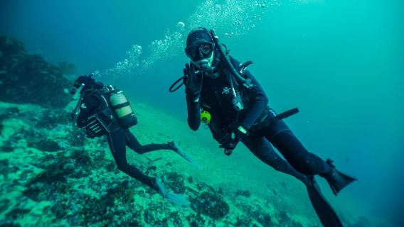 Кейптаун: Discover Scuba Diving – развлечения на 1 день