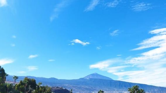 Trayecto guiado a pie en La Orotava 1 h 30 min, Tenerife