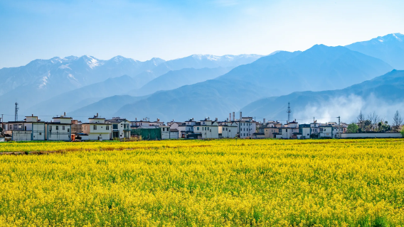 Vanuit Dali: Xizhou oude stad + Haise ecologisch park + Shuanglang oude stad gecharterde autovervoer eendaagse tour
