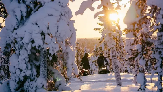 Finnland Rovaniemi Weihnachtsmanndorf Besuch/Begegnung mit dem Weihnachtsmann aufrüstbarer chinesischer Service