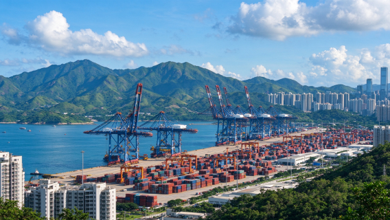 Guida multilingue a Shenzhen per tour di un giorno, visita guidata approfondita di Window of the World e Splendid China, inglese / francese 
