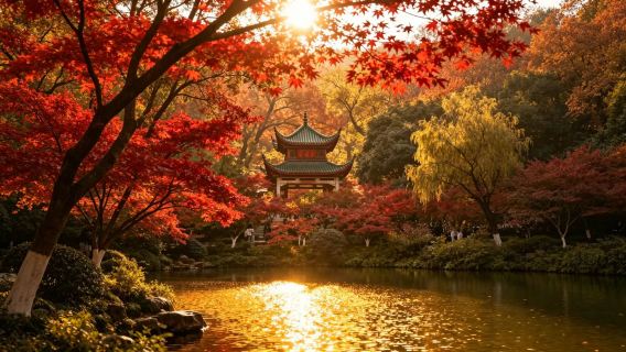 Lawatan sehari Changsha berkualiti | Muzium Wilayah Hunan + Istana Api + Gunung Yuelu + Pavilion Aiwan + Pulau Oren