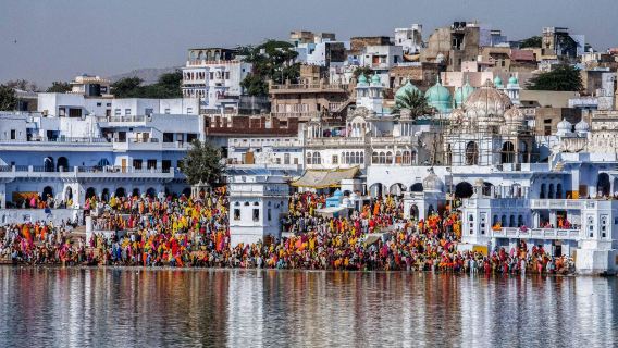Fra Jaipur: Heldags privat tur til Pushkar