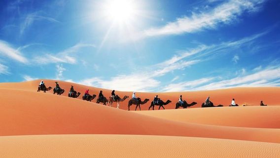 MerzougaTours