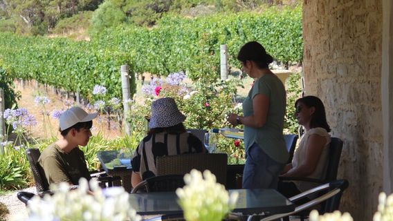 BusseltonTours